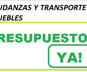 mudanzas fletes transportes de muebles